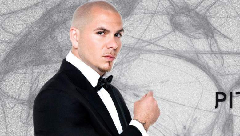 Pitbull