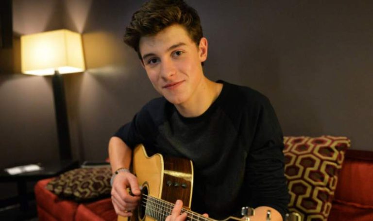 The Ultimate Guide To Shawn Mendes Mbti Personality - 0sr0vzf