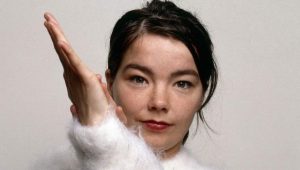 Bjork