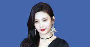 Red Velvet Joy